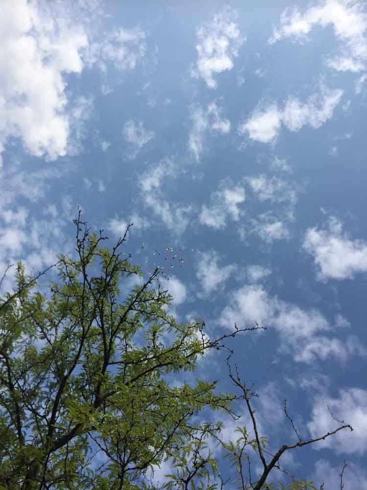 Projektteam der Uni Furtwangen-Schwenningen